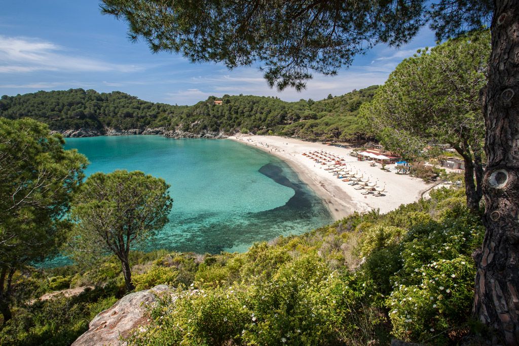 isola d'elba covid free