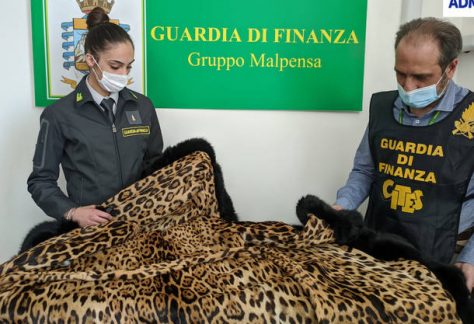 sequestro Malpensa