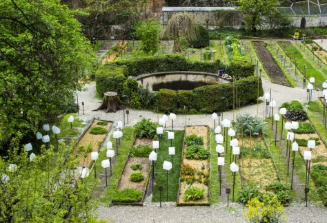 Orto-Botanico-di-Brera