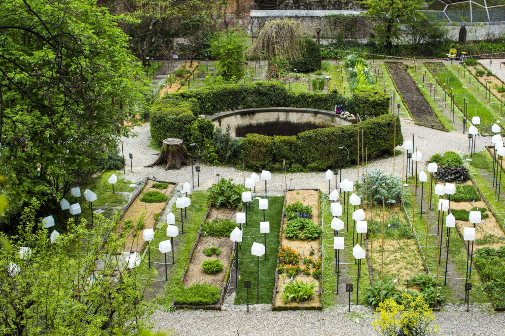 Orto-Botanico-di-Brera