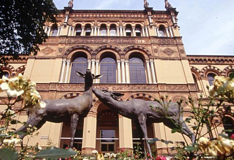 Milano Museo di Storia Naturale