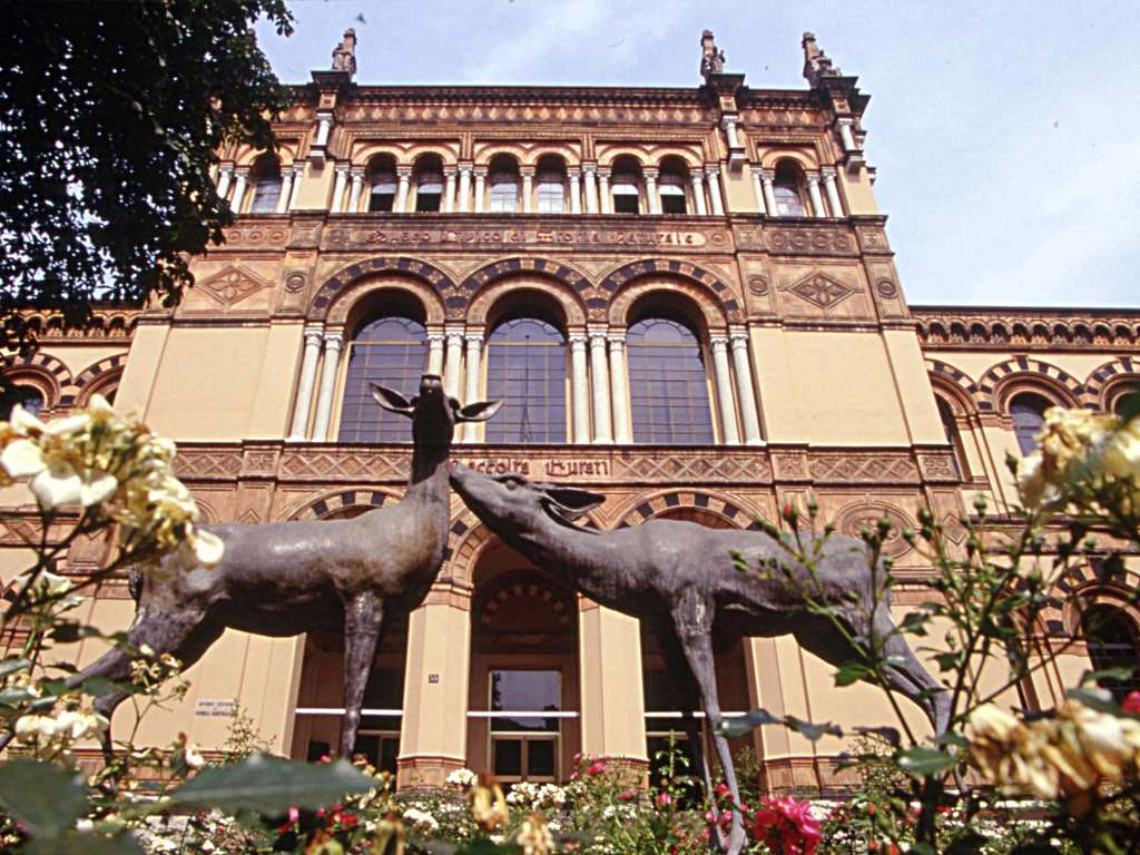 Milano Museo di Storia Naturale