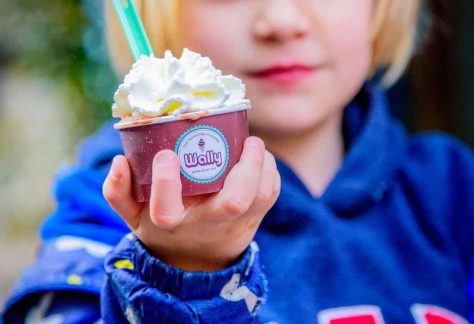 gelato gratis