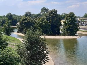 Arriva a Milano " Corvetto specchio d'acqua ", un giardino acquatico sospeso