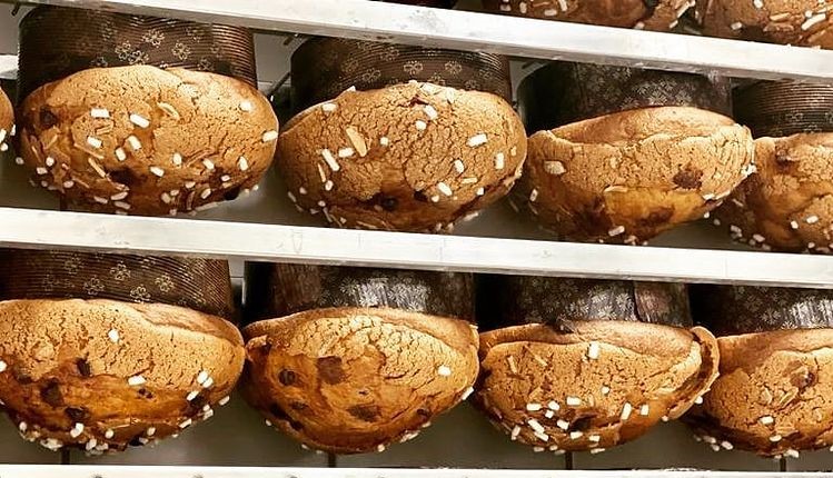 milano temporary store panettone