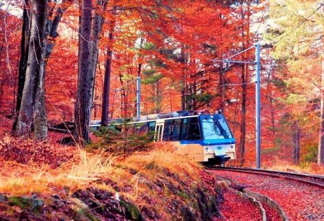 Viaggio tra i colori d'autunno sul treno del Foliage a 1 ora da Milano