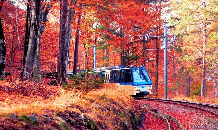 Viaggio tra i colori d'autunno sul treno del Foliage a 1 ora da Milano