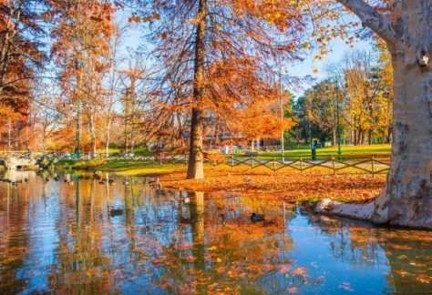 Foliage a Milano, ecco i percorsi per ammirarlo