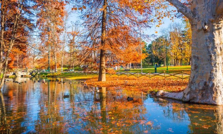 Foliage a Milano, ecco i percorsi per ammirarlo