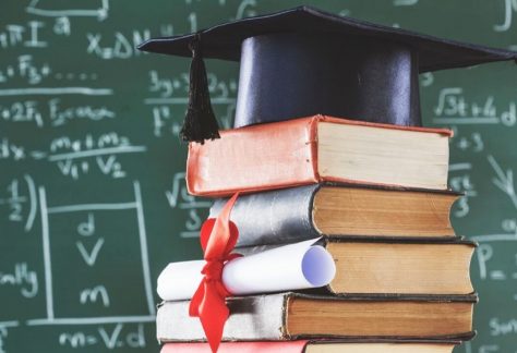 istruzione istat laureati italia