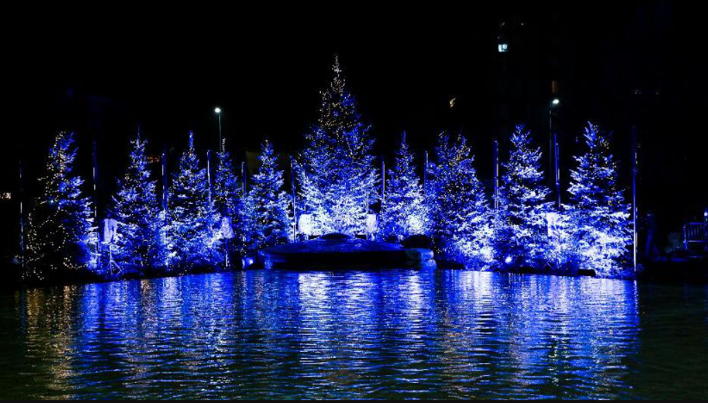 Albero di Natale Piazza Vigili del Fuoco