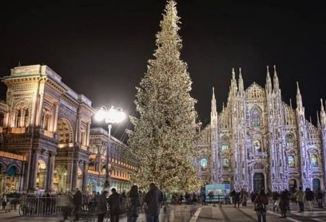 alberi di Natale Duomo