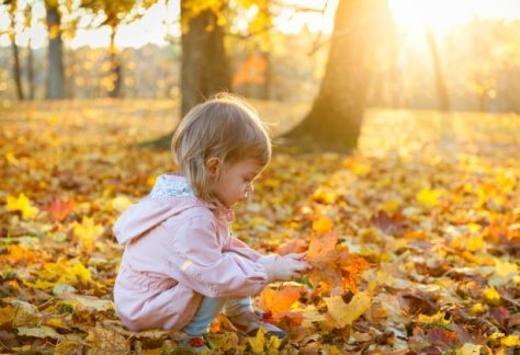 Dove ammirare il Foliage con i bambini vicino Milano