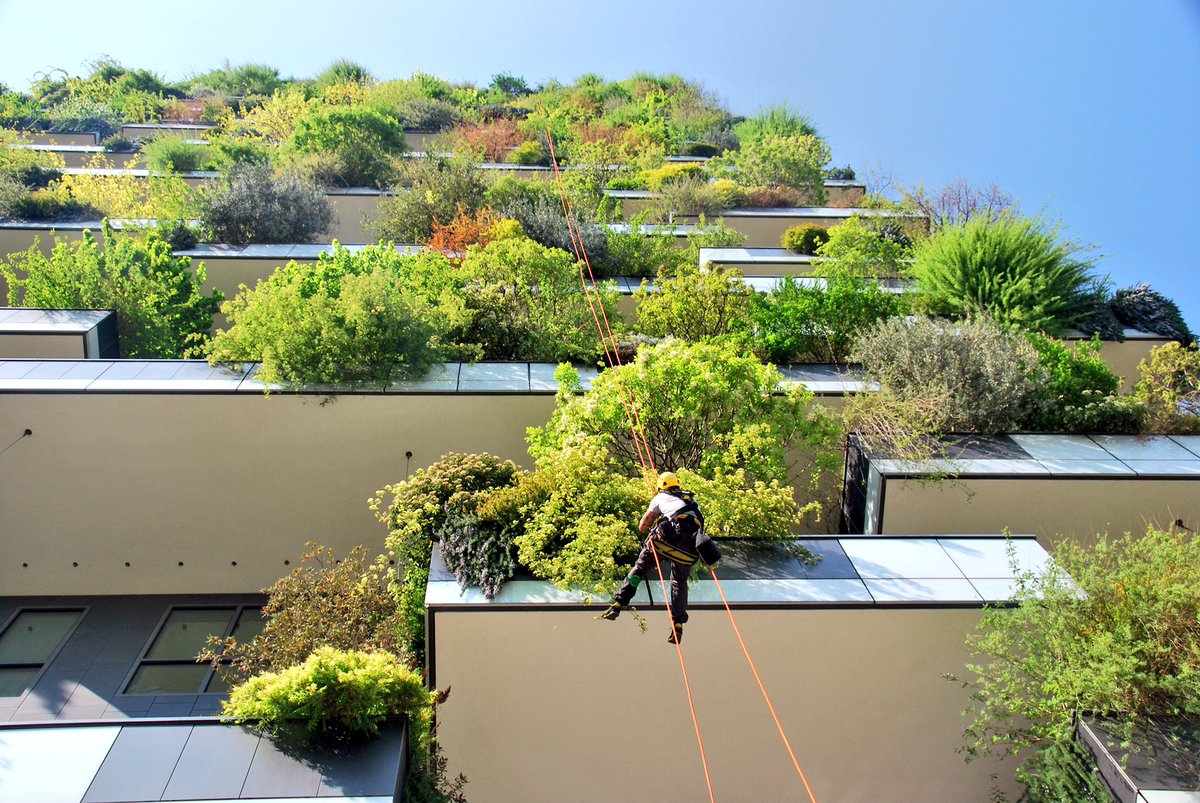 Milano, Bosco Verticale the flying gardners