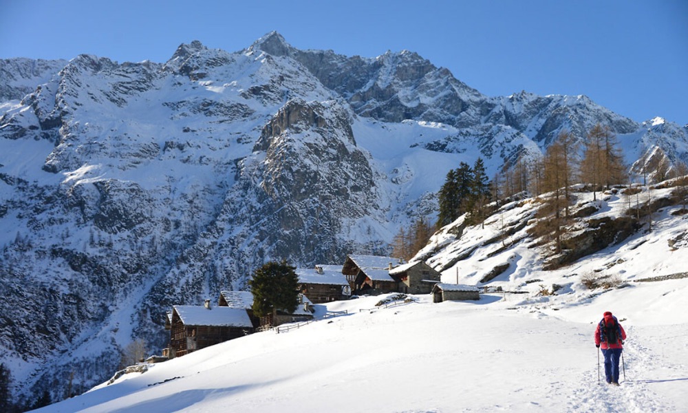 Champoluc