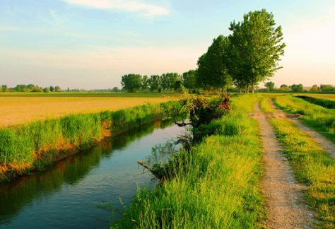 Parco Agricolo Sud