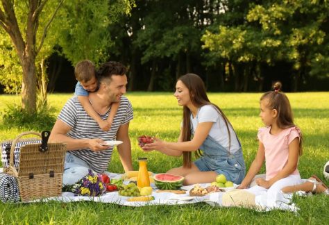 Picnic Milano Posti