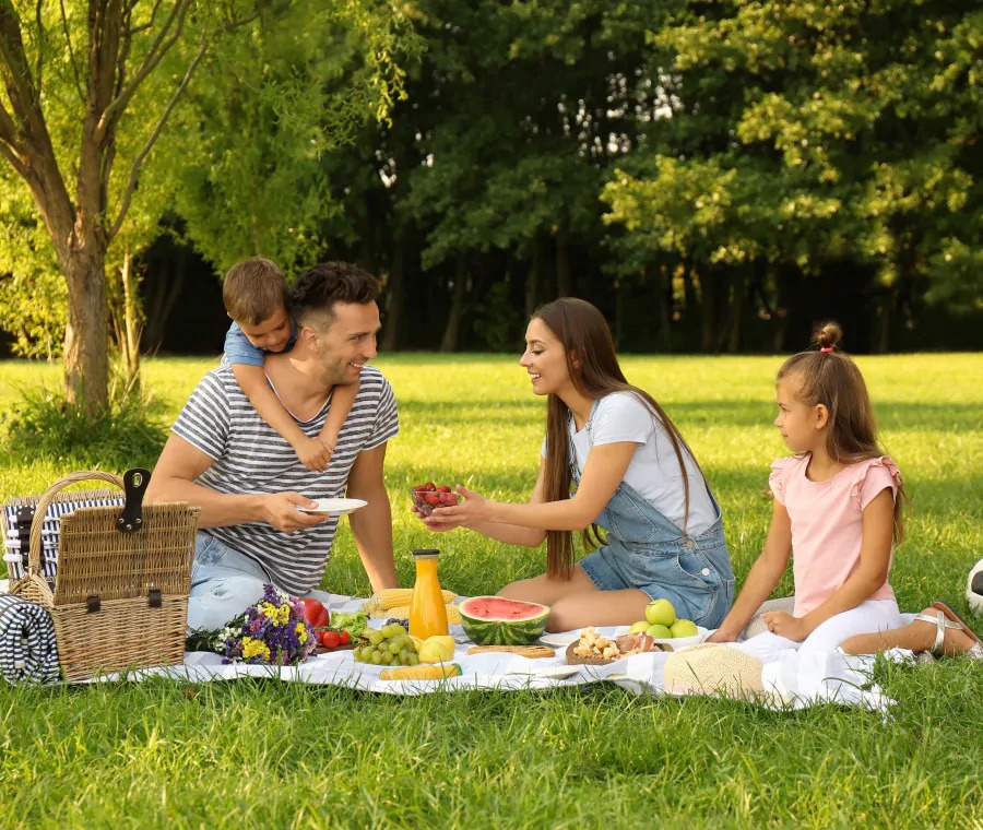Picnic Milano Posti