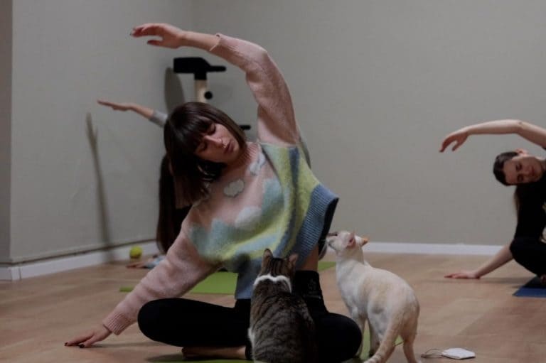 Maryosul centro Yoga Milano