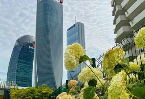 Citylife MIlano Orti fioriti