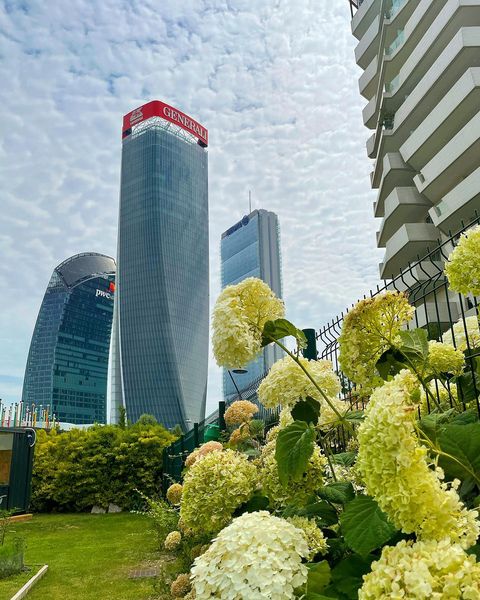 Citylife MIlano Orti fioriti