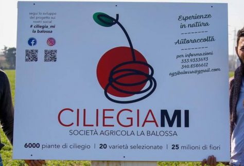 Milano CiliegiaMi