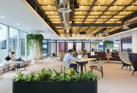 workplace of the future