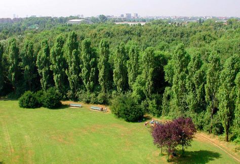 milano parco nord alberi