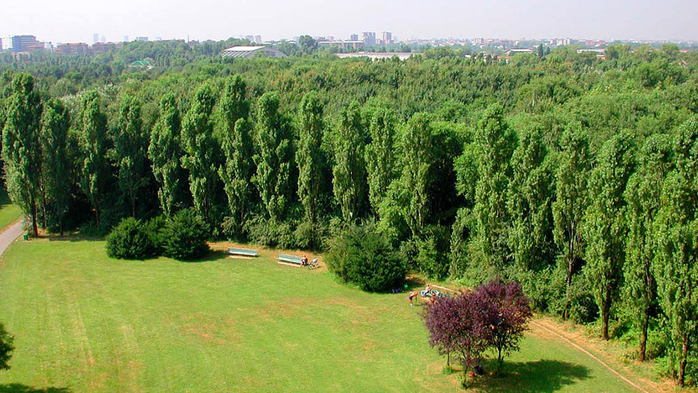 milano parco nord alberi