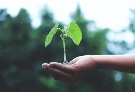 Custodiscimi ambiente