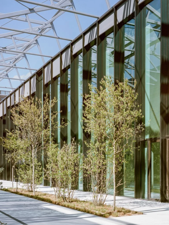 luxottica factory milano
