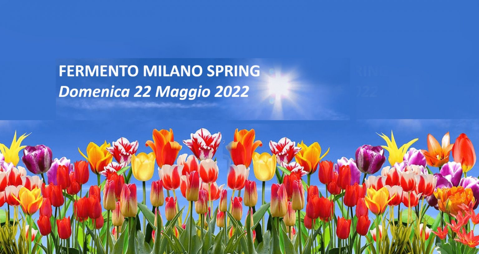 Fermento Milano Spring