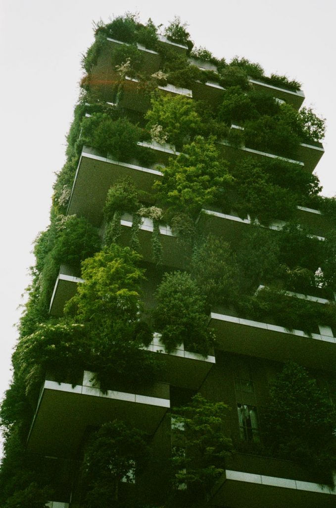 Sustainable cities day