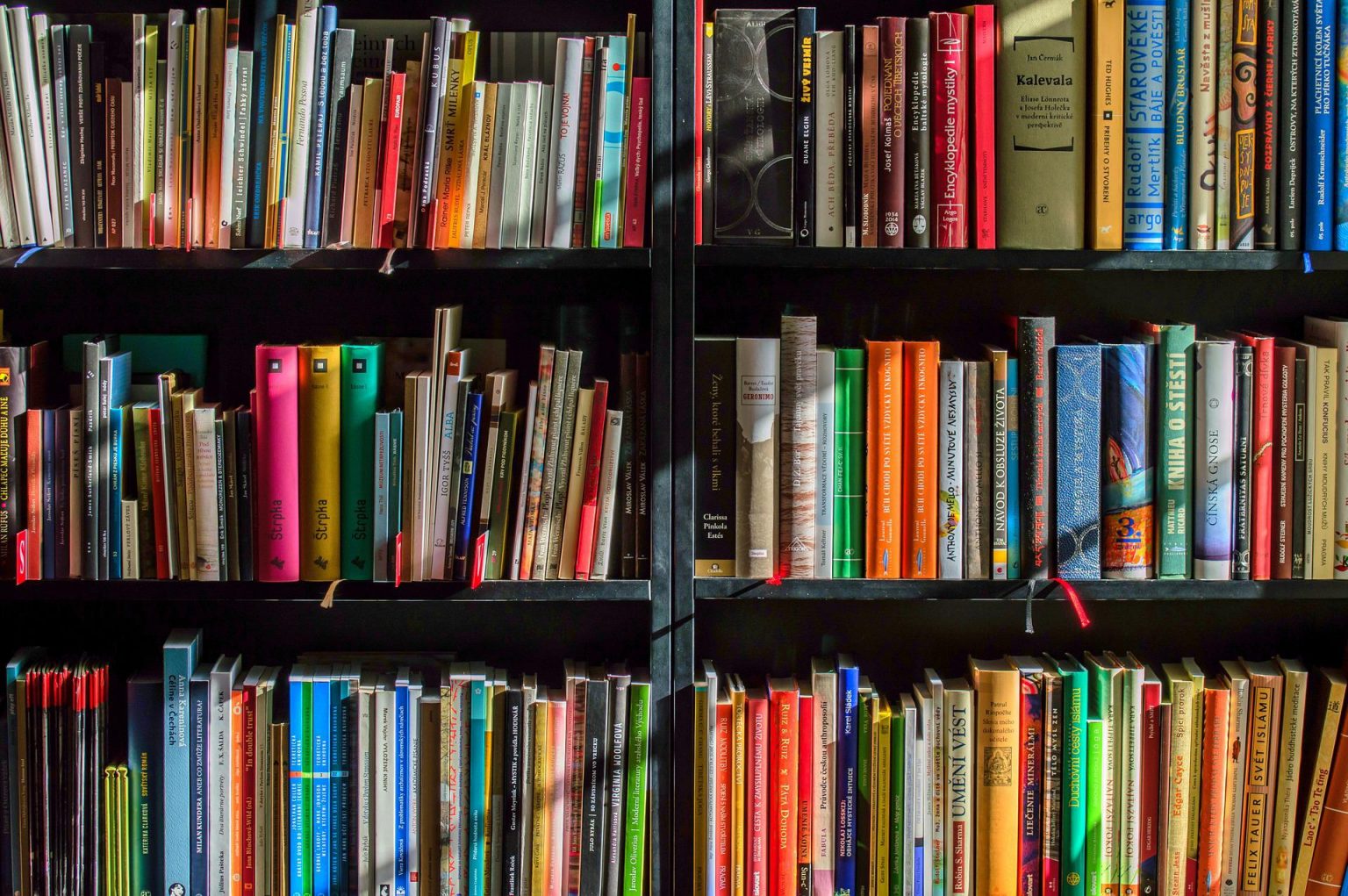 Milano evento libri