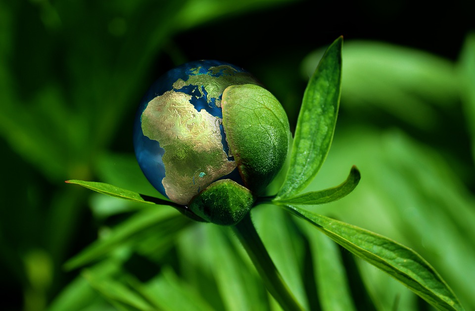 Milano Green Vision