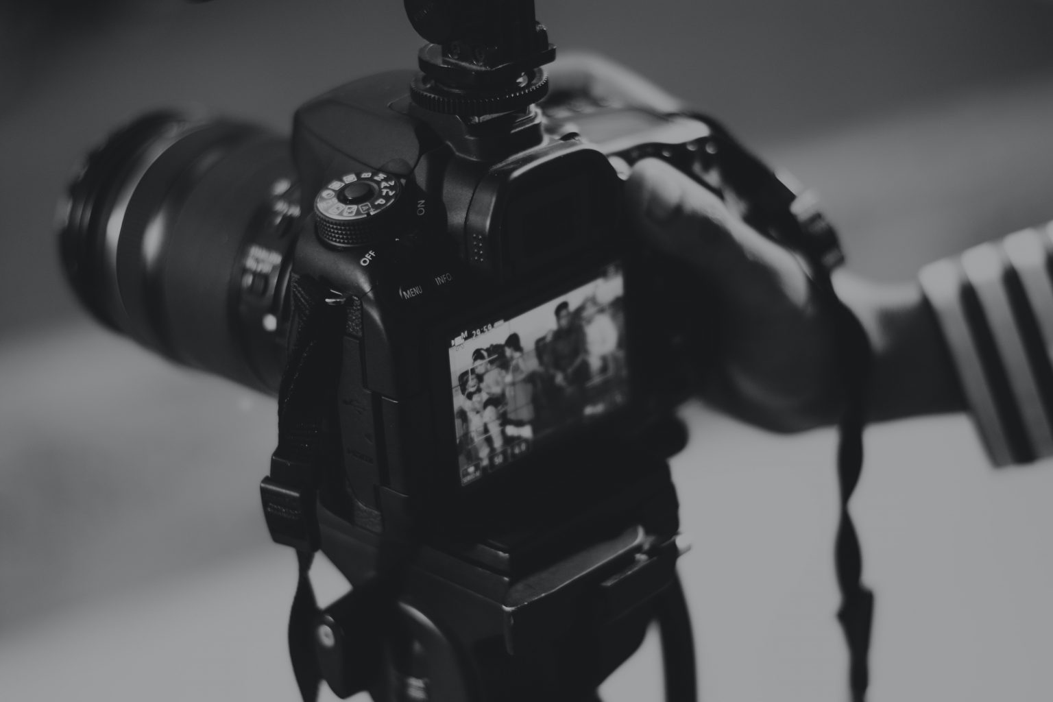Photofestival 2022