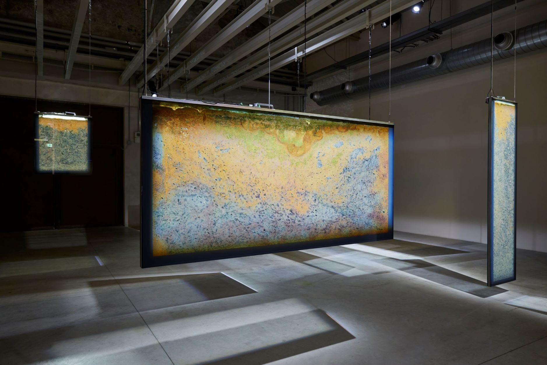 Le opere a Milano di Anicka Yi