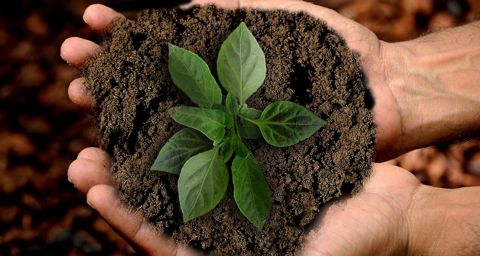 Pianeta 2030: agire per il clima