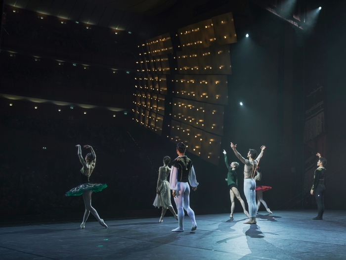 roberto bolle milano