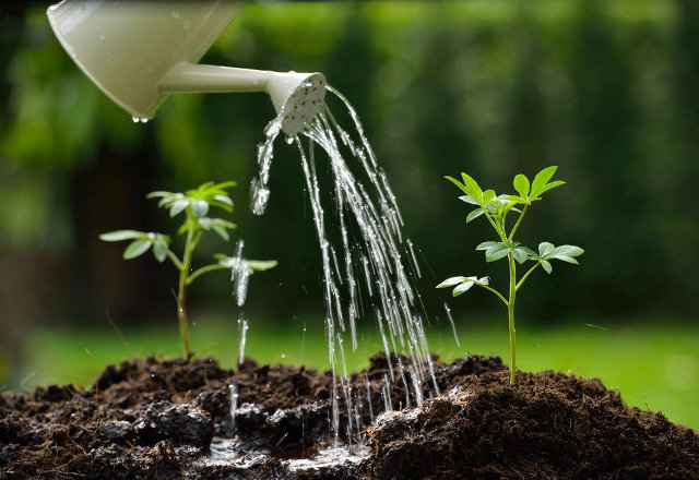come risparmiare acqua
