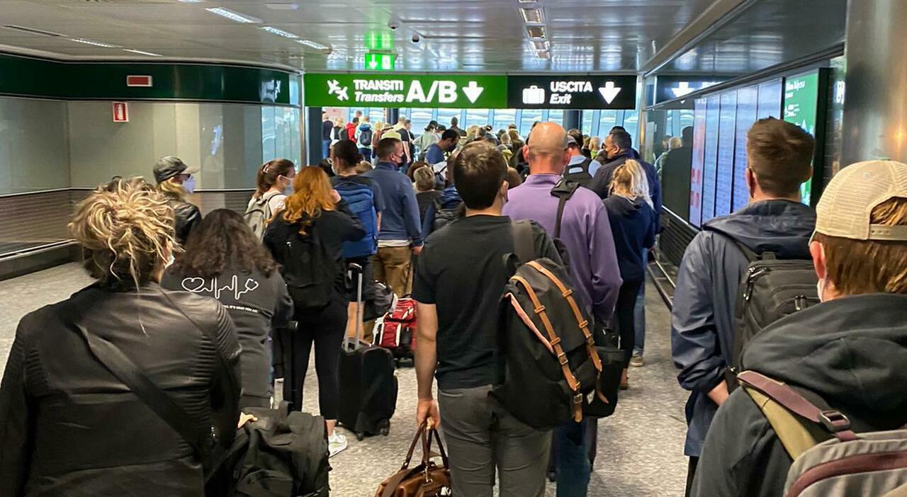 compagnie low cost