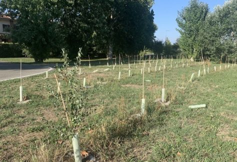 alberi milano
