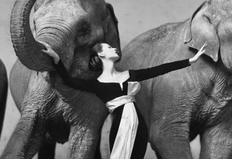 mostra Richard Avedon al Palazzo Reale di Milano