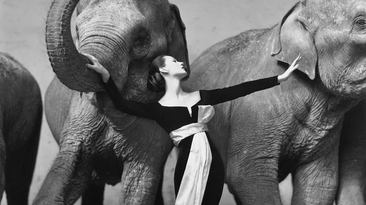 mostra Richard Avedon al Palazzo Reale di Milano