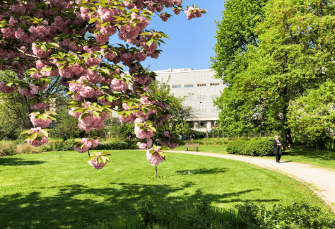 orto botanico milano