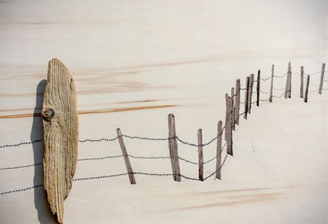 delicati equilibri walter turcato