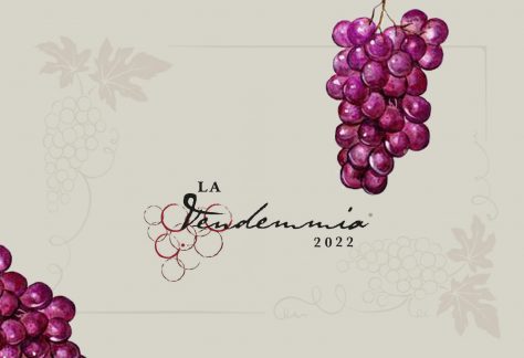 vendemmia montenapoleone