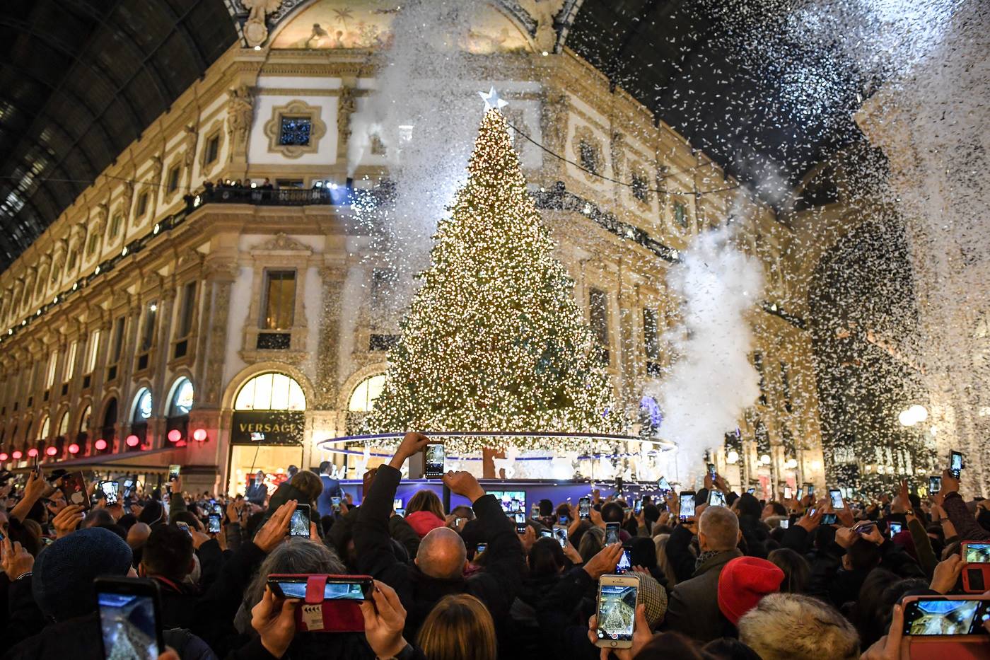 L Albero Il Sindaco E La Mediateca