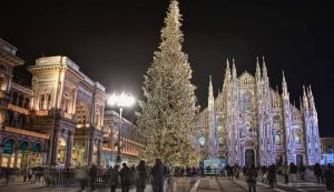 alberi di Natale Duomo