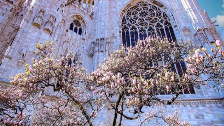 Milano primavera